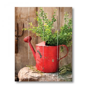 Vintage Red Watering Can Pallet Art